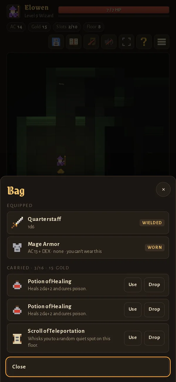 The bag screen with equipped gear and potions
